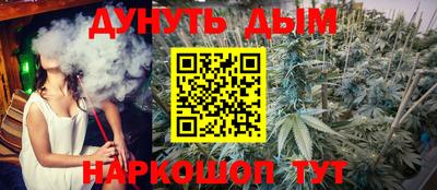 прущие грибы Можга
